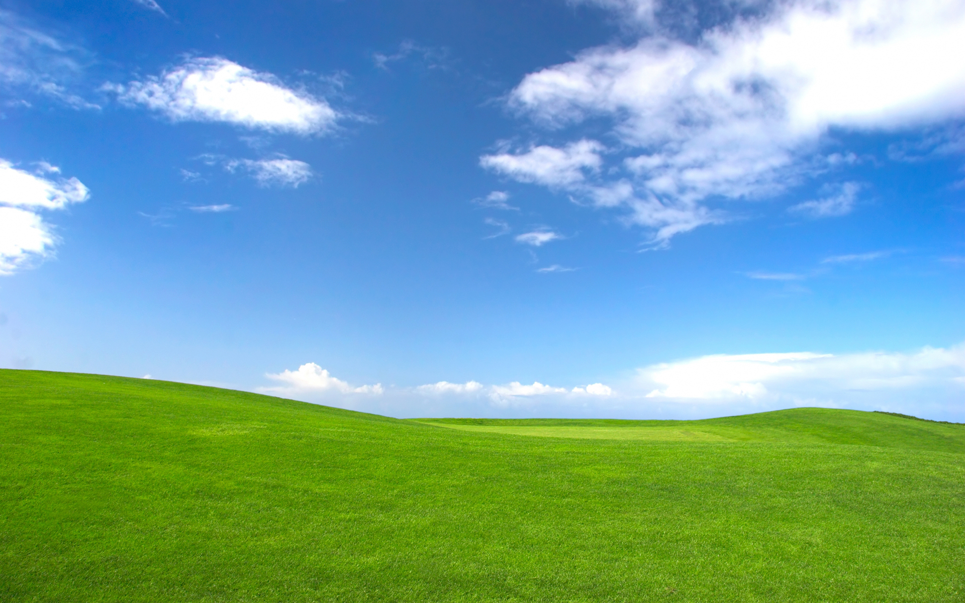 windows95bg.jpg